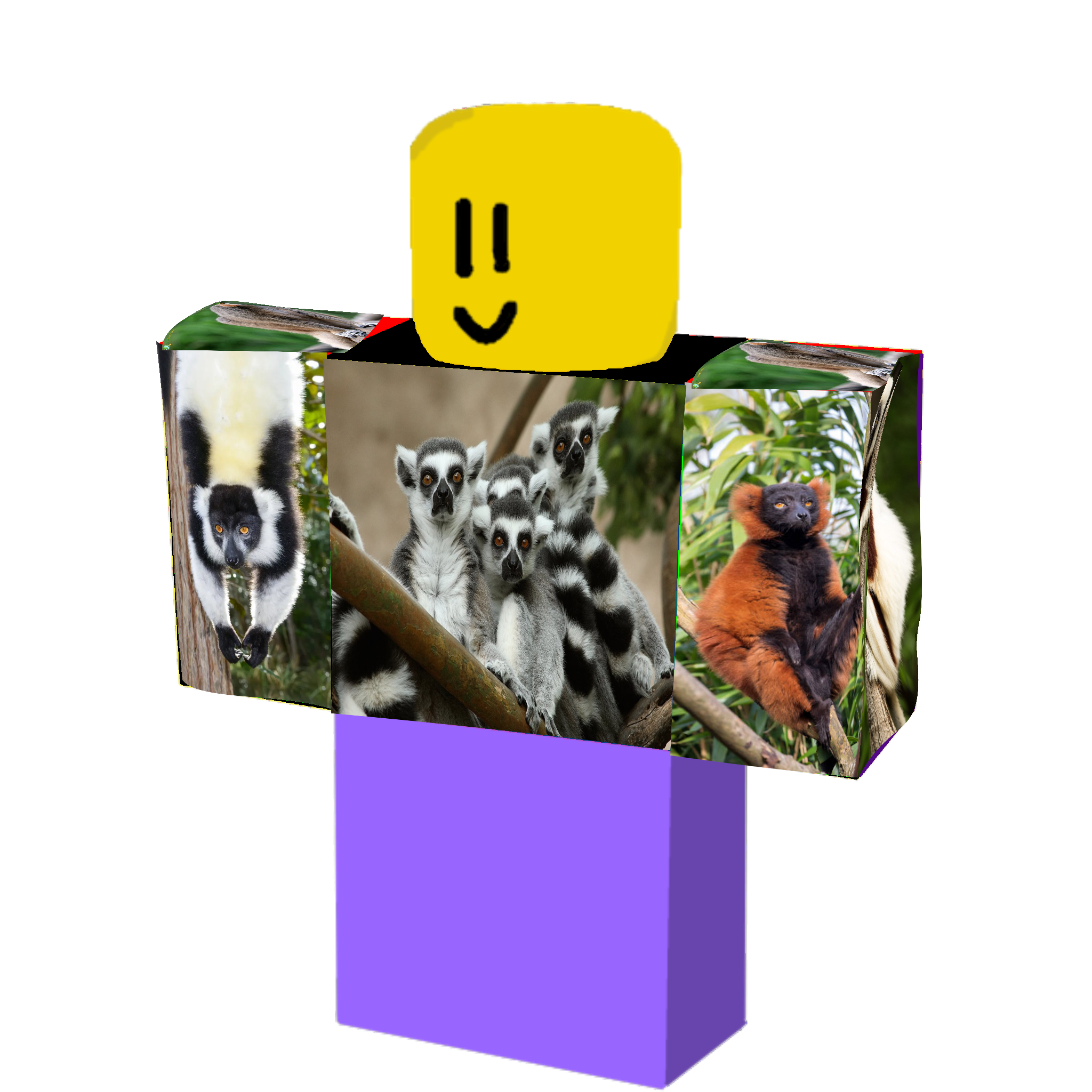 Lemur Lover Shirt